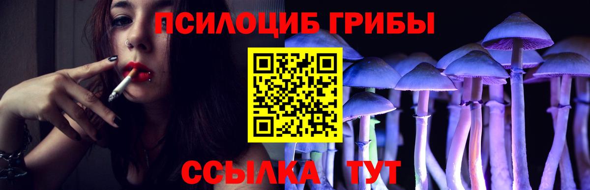 Псилоцибиновые грибы мухоморы  Псилоцибиновые грибы ЛСД  наркотики  Вход с VPN  Прокопьевск 
